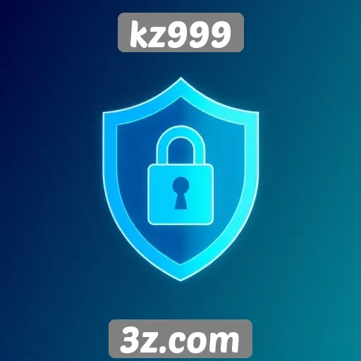 Segurança e privacidade dos usuários no kz999